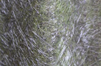 Brentford fibreglass roof work